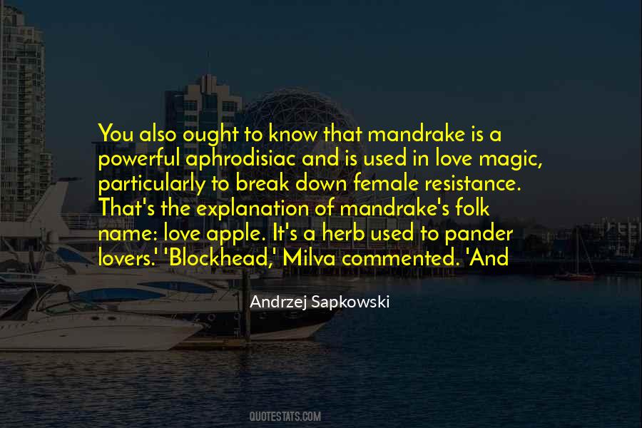 Sapkowski Quotes #319244
