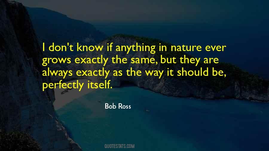 Quotes About Bob Ross #174135