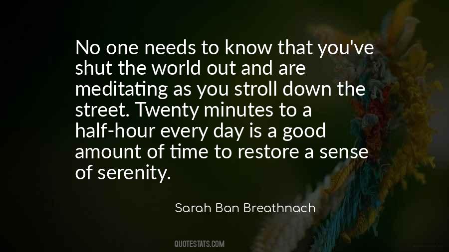 Sarah Breathnach Quotes #817338