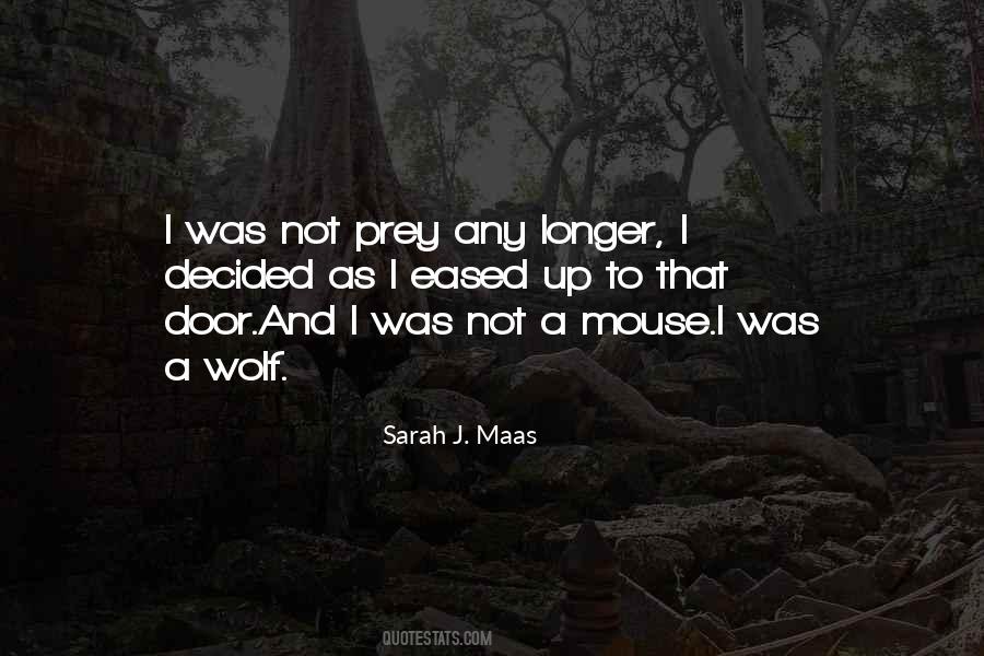 Sarah Maas Quotes #106761