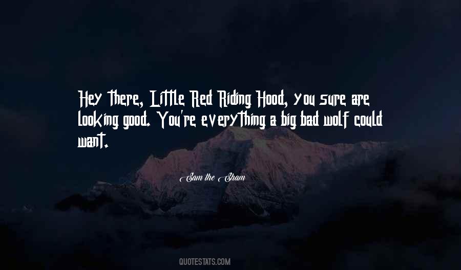 Sarah Storey Quotes #219373