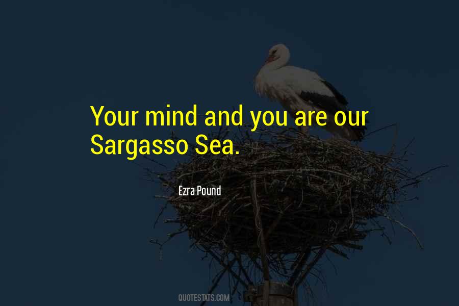 Sargasso Sea Quotes #1804754