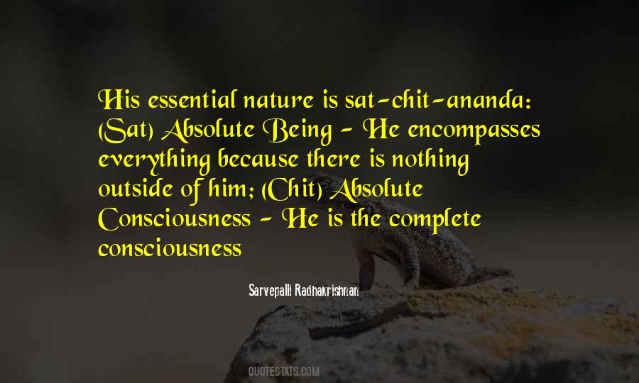 Sat Chit Ananda Quotes #973329