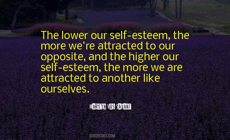 Savant Quotes #943802