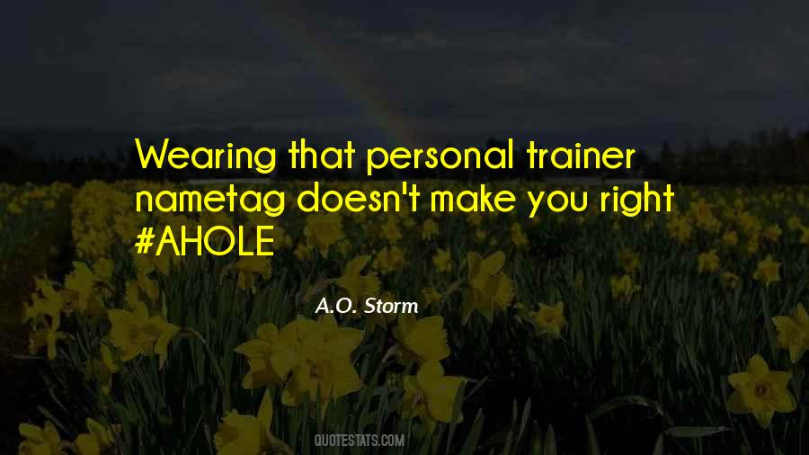 Quotes About Ahole #1773259