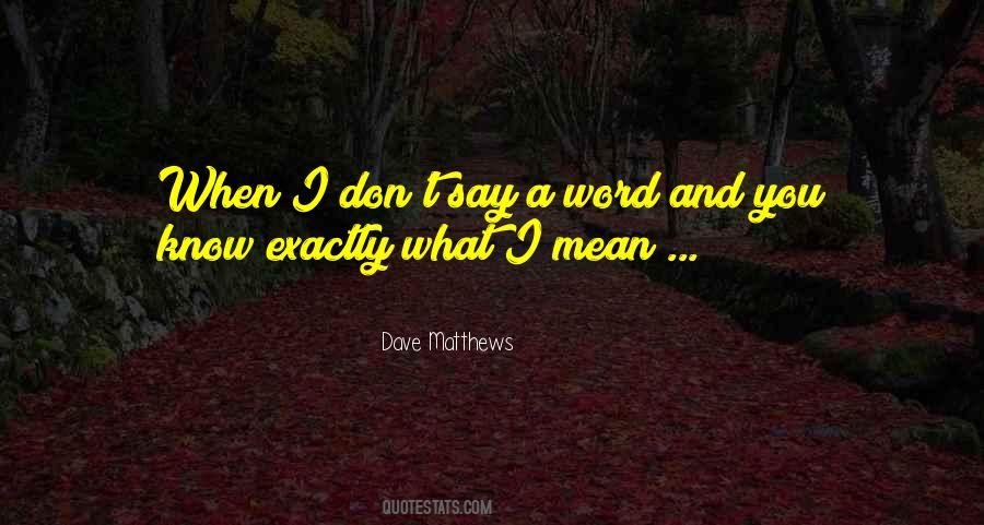 Say What I Mean Quotes #371605