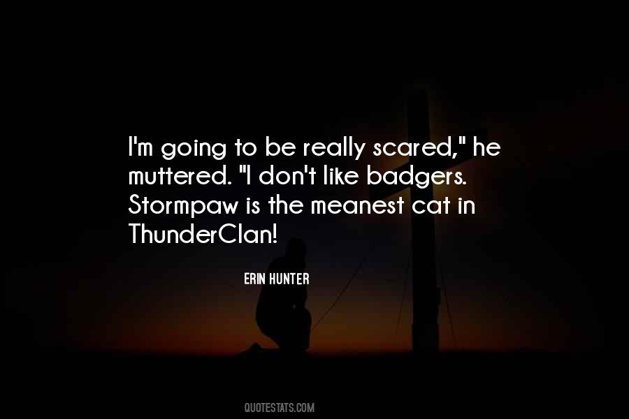 Scared Cat Quotes #757524