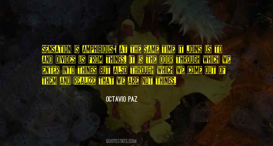 Quotes About Octavio Paz #1150793