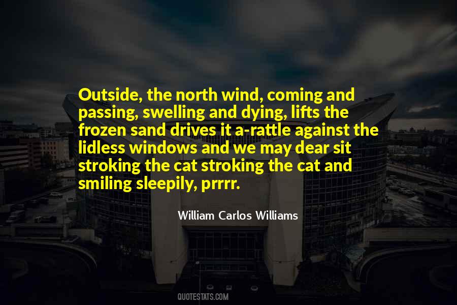 Quotes About William Carlos Williams #513328