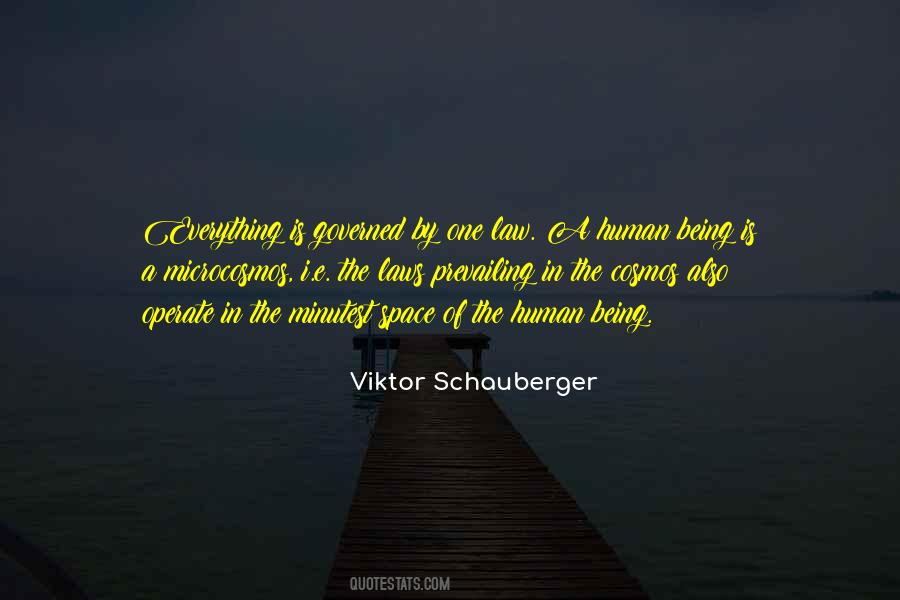 Schauberger Quotes #259981