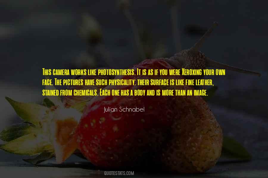 Schnabel Quotes #1191223