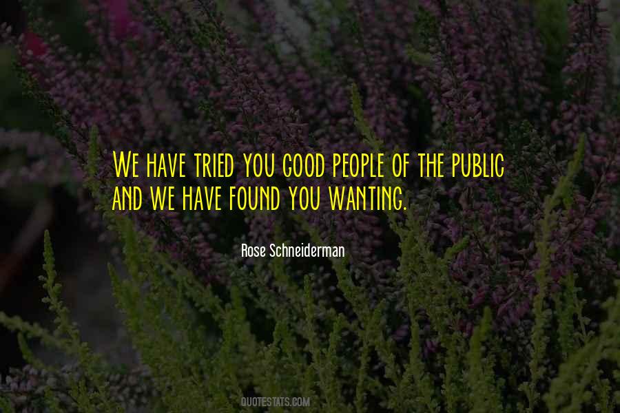Schneiderman Quotes #389444