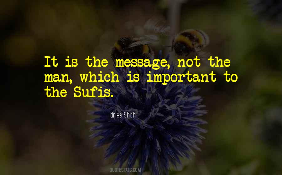 Quotes About Sufis #1778472