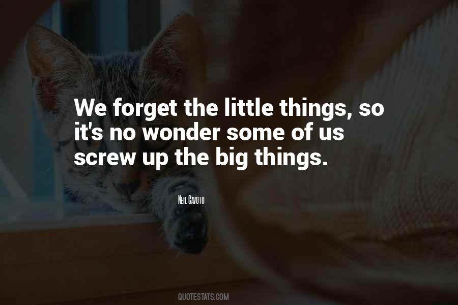 Screw Things Up Quotes #849011