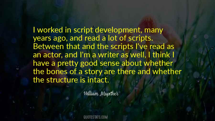Script Writer Quotes #967302