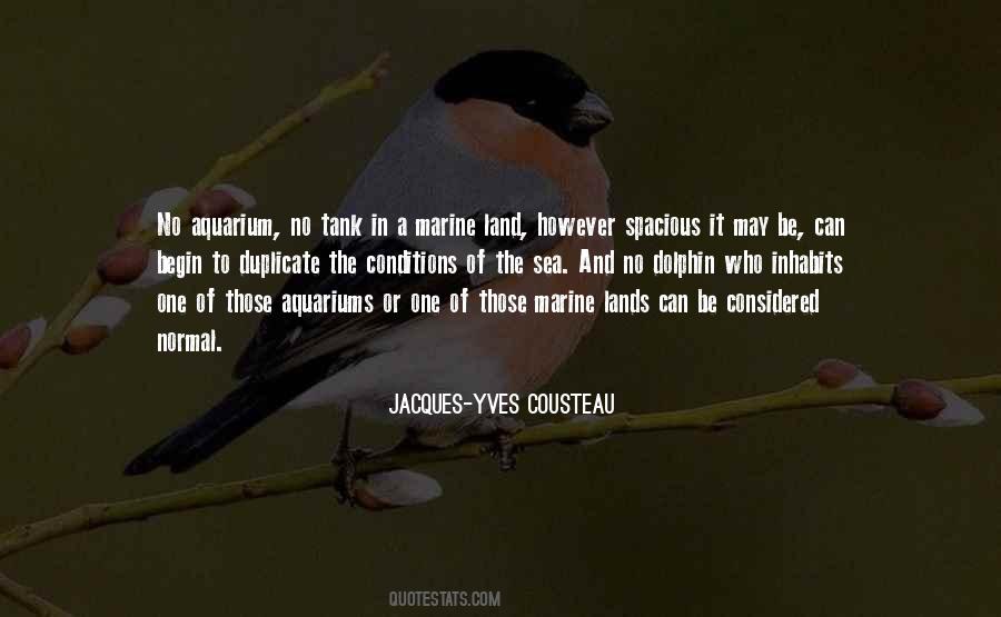 Sea Aquarium Quotes #948150