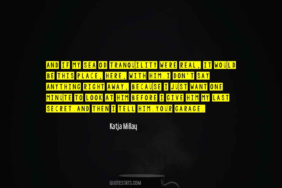 Sea Of Tranquility Katja Millay Quotes #1138187