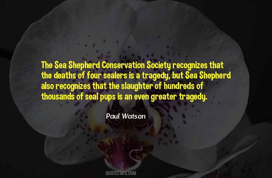 Sea Shepherd Quotes #162246