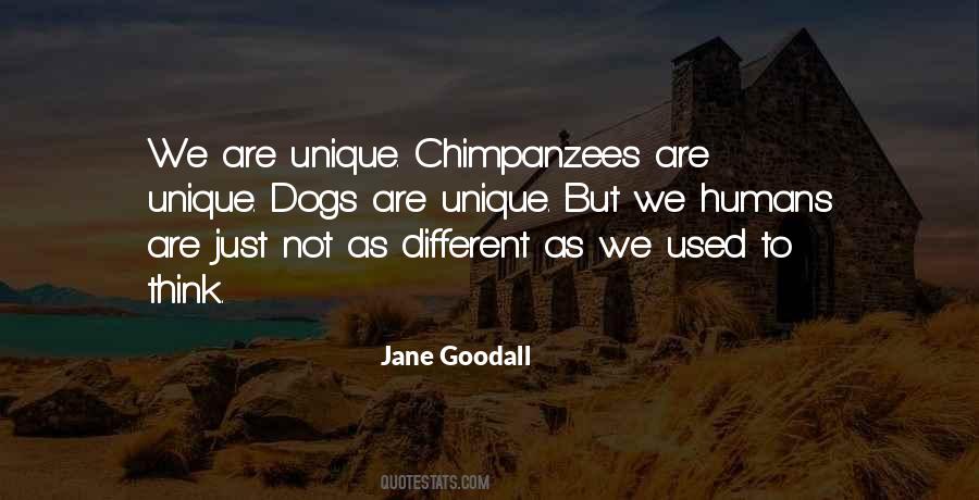 Quotes About Jane Goodall #202589