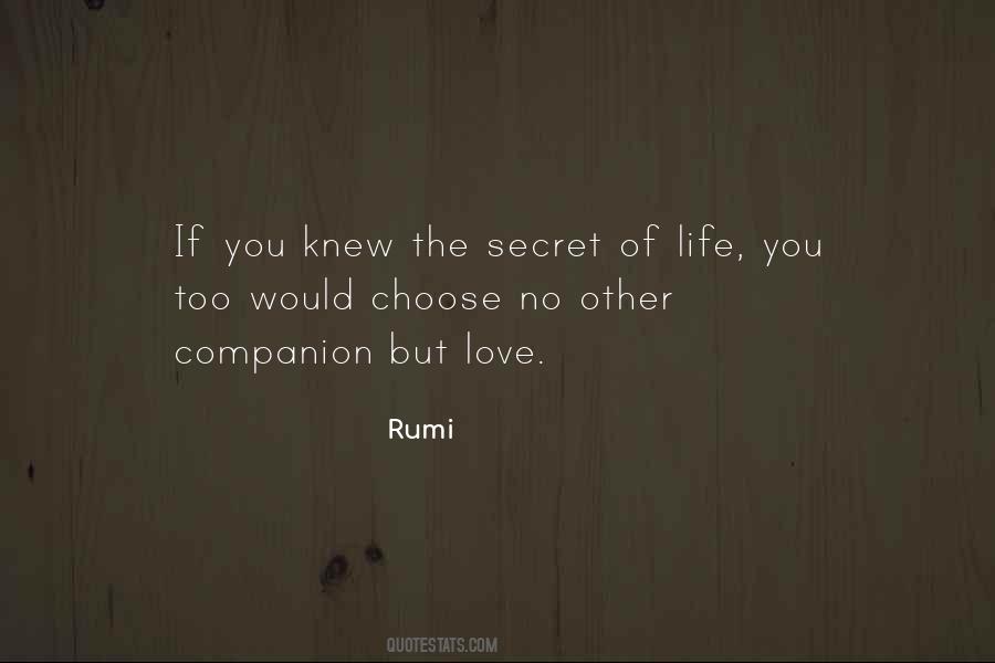 Secret Of Life Quotes #683460