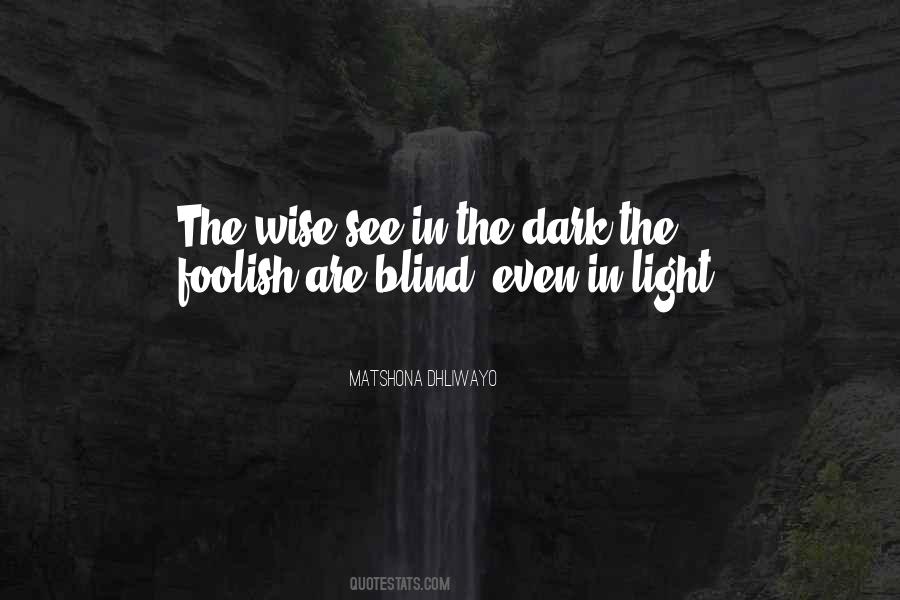 See In The Dark Quotes #723766