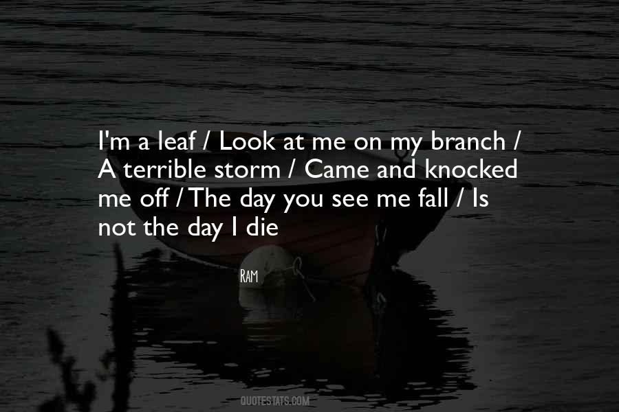 See Me Fall Quotes #1844487