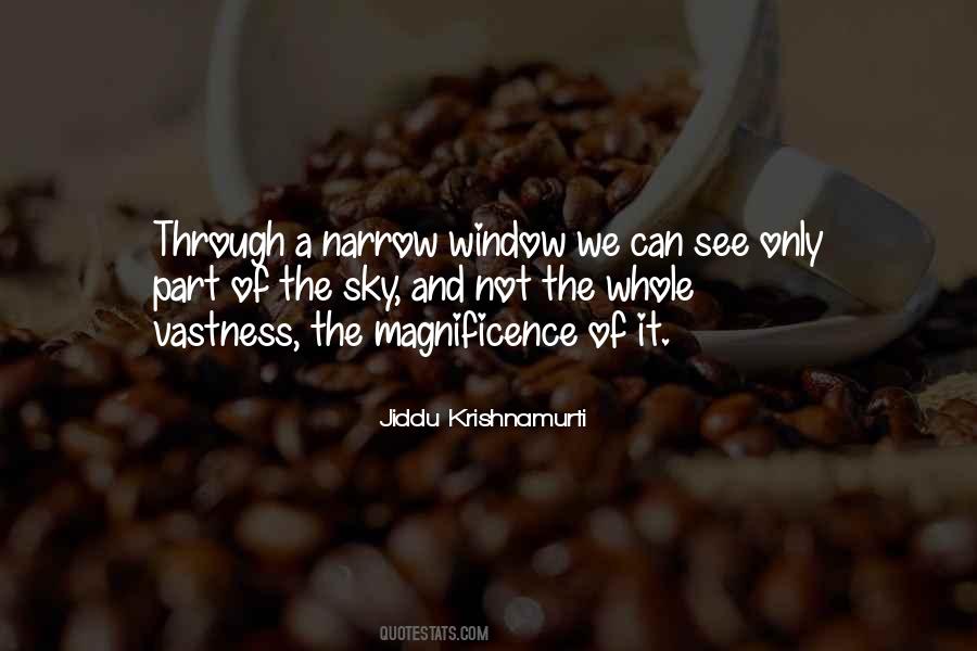 See Through Window Quotes #1764885