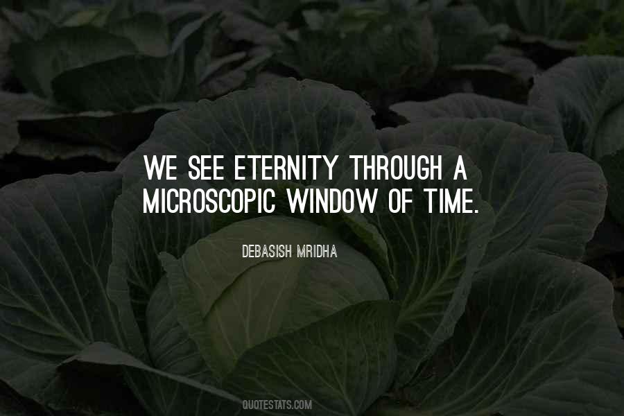 See Through Window Quotes #247827