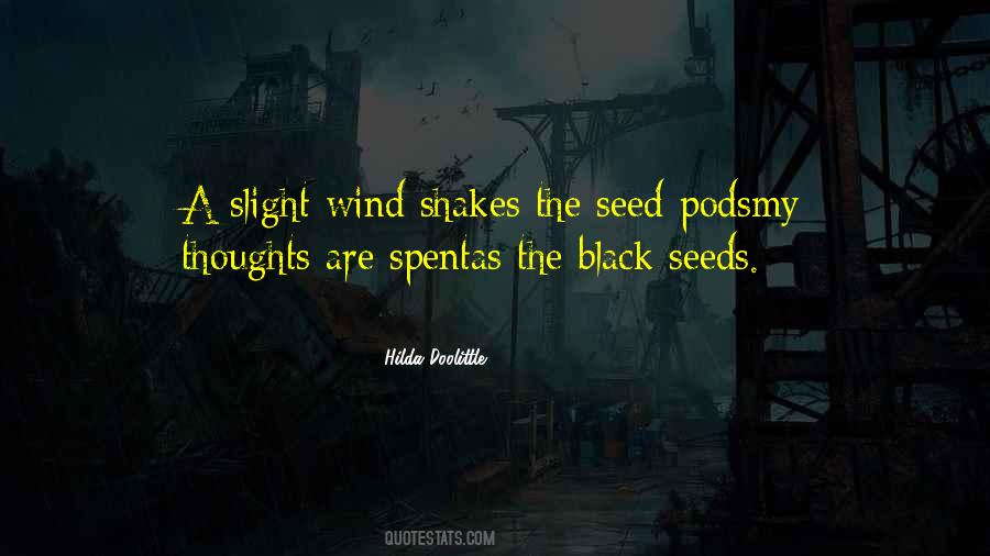 Seed Quotes #1699068