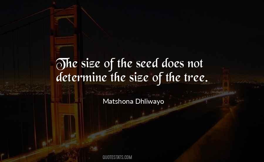 Seed Quotes #1745647