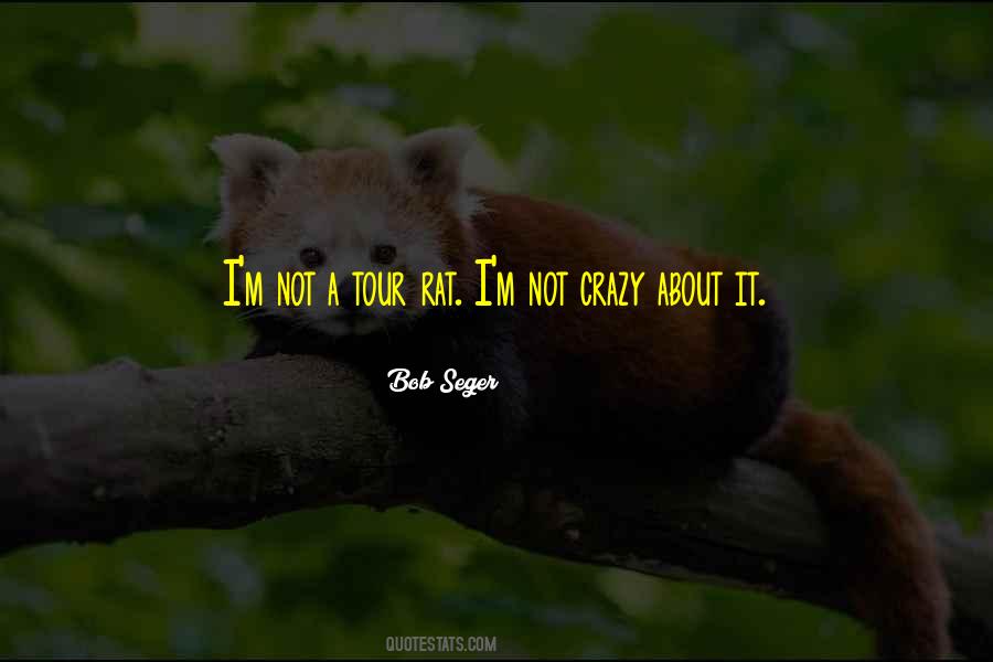 Seger Quotes #582817