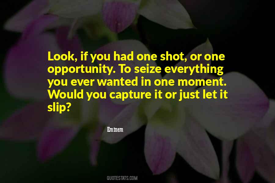 Seize An Opportunity Quotes #182366