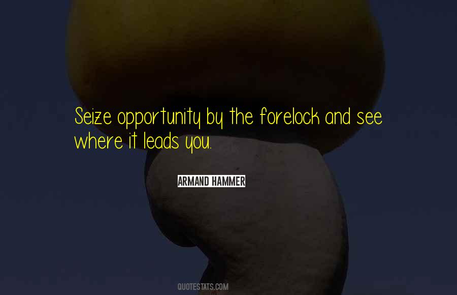 Seize An Opportunity Quotes #57388