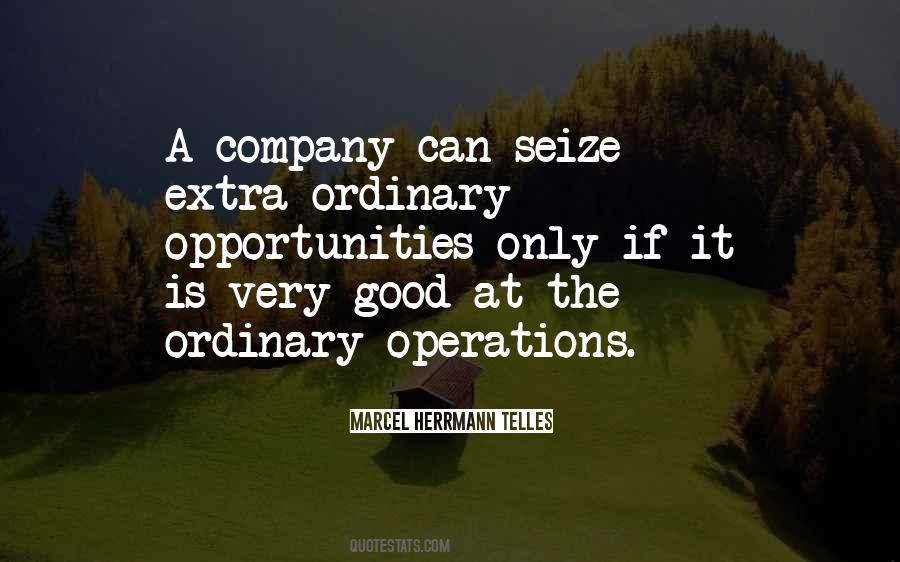 Seize Opportunity Quotes #1385423