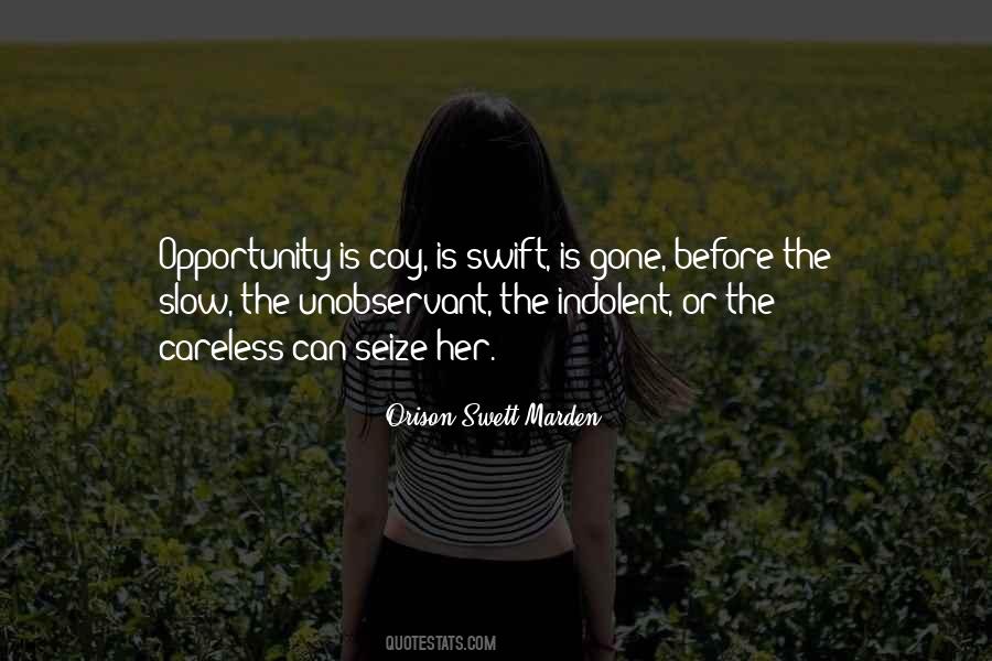 Seize Opportunity Quotes #793707