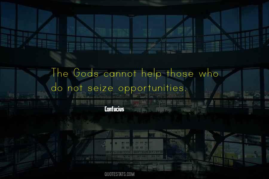 Seize Opportunity Quotes #995488