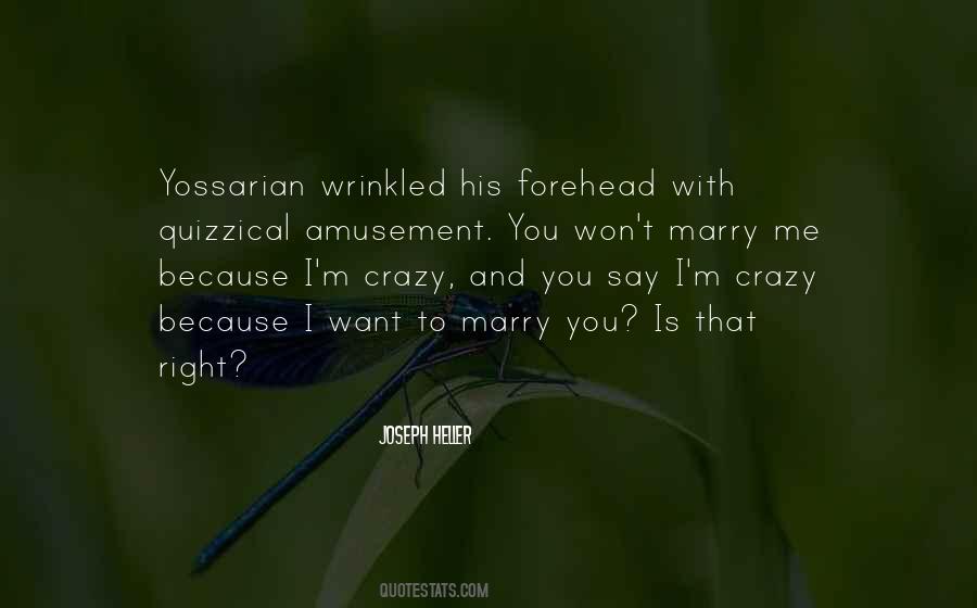 Self Amusement Quotes #10167