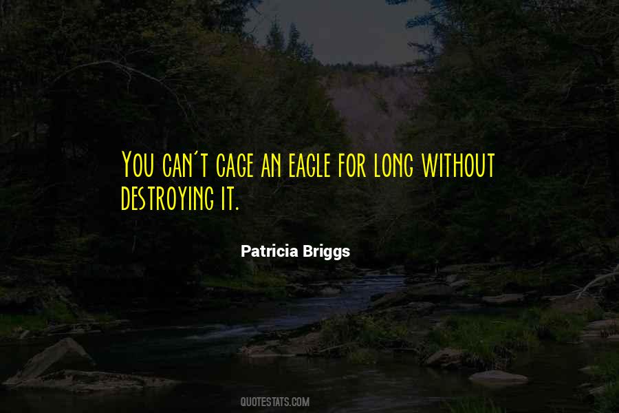 Self Destroying Quotes #71084