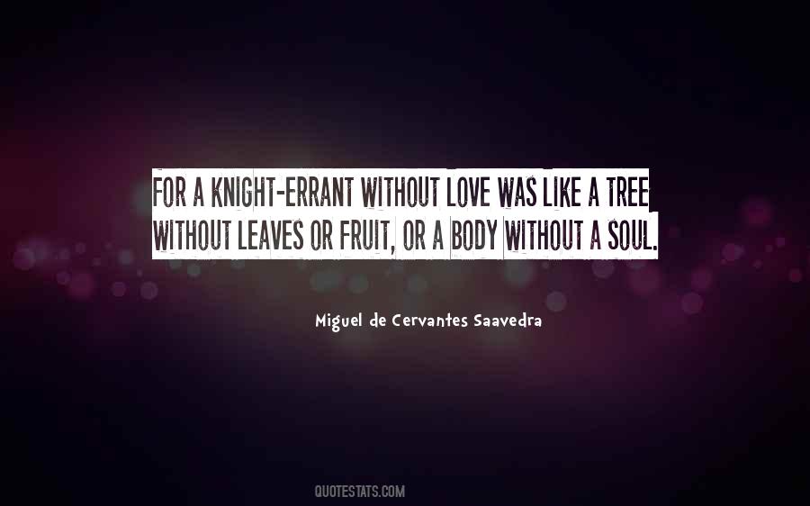 Quotes About Miguel De Cervantes #182957