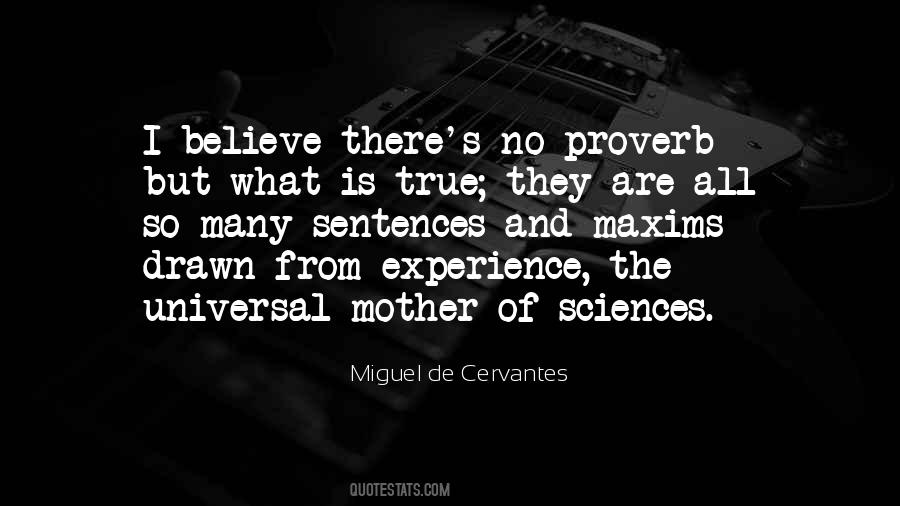 Quotes About Miguel De Cervantes #95919
