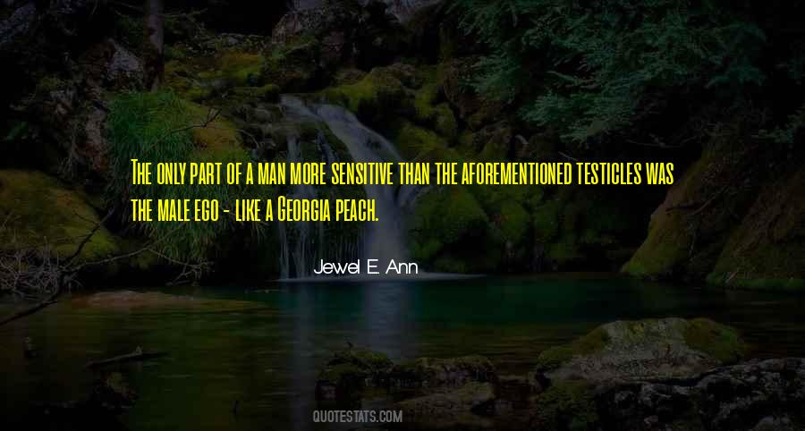 Seminole War Quotes #400271