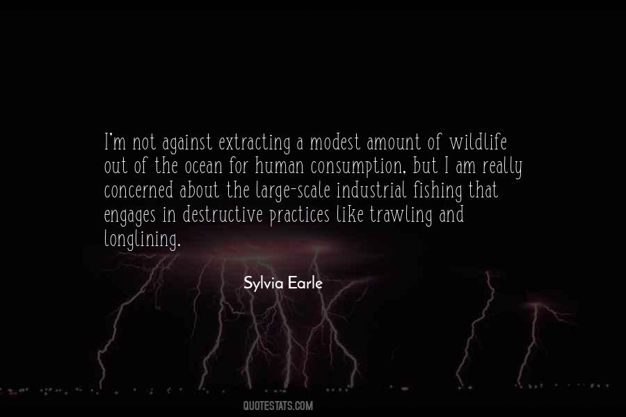 Quotes About Sylvia Earle #202924