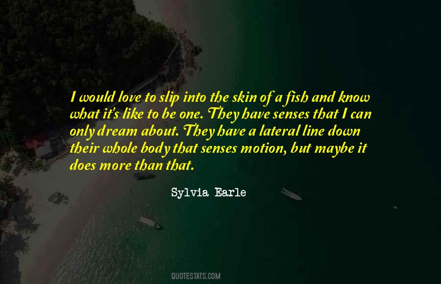 Quotes About Sylvia Earle #209745