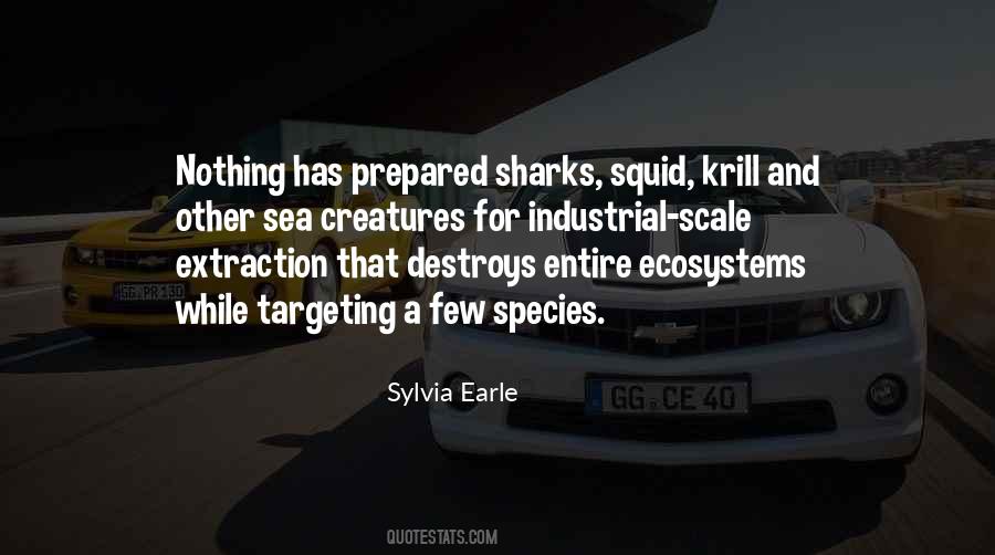 Quotes About Sylvia Earle #485756