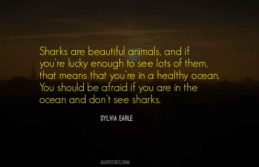 Quotes About Sylvia Earle #847039