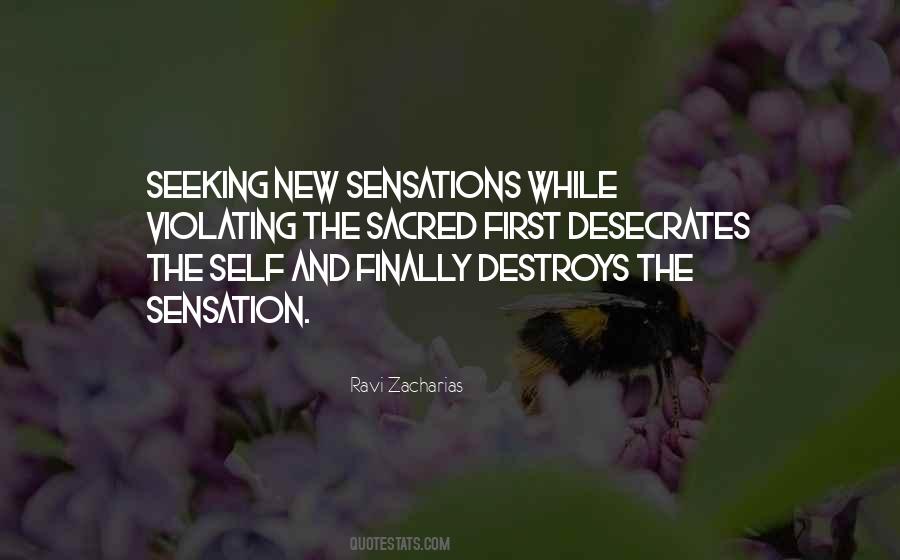 Sensation Seeking Quotes #993274