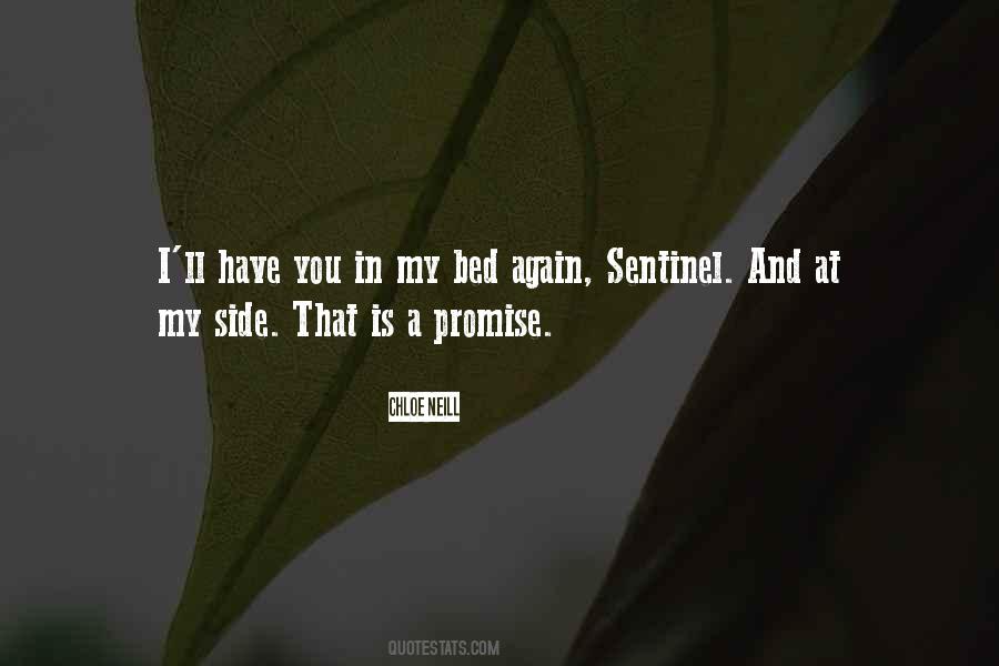 Sentinel Quotes #1428209