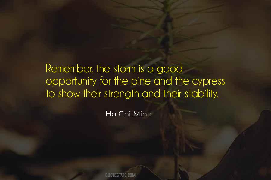 Quotes About Ho Chi Minh #676104