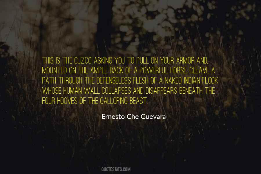 Quotes About Ernesto Che Guevara #1184300