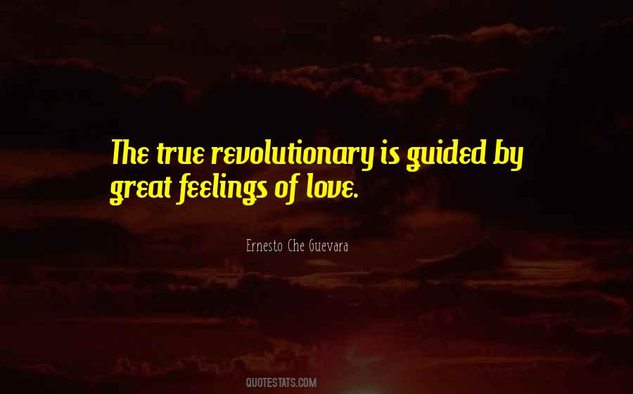 Quotes About Ernesto Che Guevara #132988